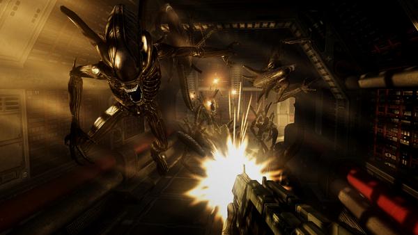 Aliens vs Predator - Steam Key - Globale