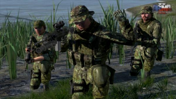 Arma 2: Army of the Czech Republic - Steam Key (Clé) - Mondial