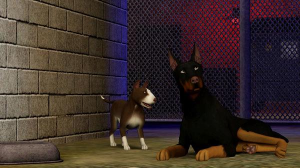 The Sims 3: Pets - Origin Key (Clé) - Mondial