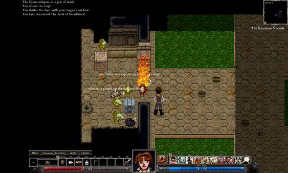 Dungeons of Dredmor - Steam Key - Globale