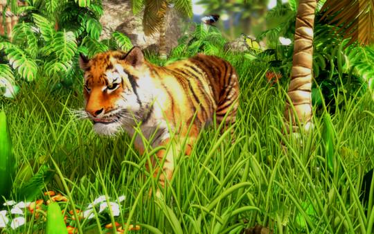 Wildlife Park 3 - Steam Key - Globale