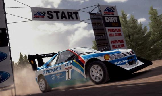 DiRT Rally - Steam Key - Globale