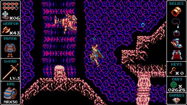 Odallus: The Dark Call - Steam Key (Clé) - Mondial