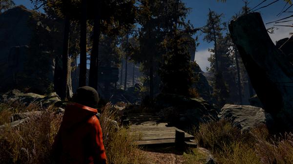 Through the Woods - Steam Key - Globalny