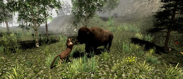 Untamed: Life Of A Cougar - Steam Key - Globalny