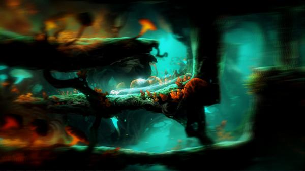 Ori and the Blind Forest: Definitive Edition - Steam Key - Global