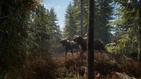 theHunter: Call of the Wild - Steam Key - Global