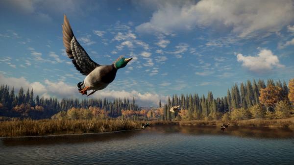 theHunter: Call of the Wild - Steam Key - Globale