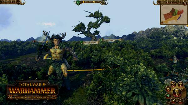 Total War: WARHAMMER - The Realm of the Wood Elves - Steam Key (Clave) - Mundial