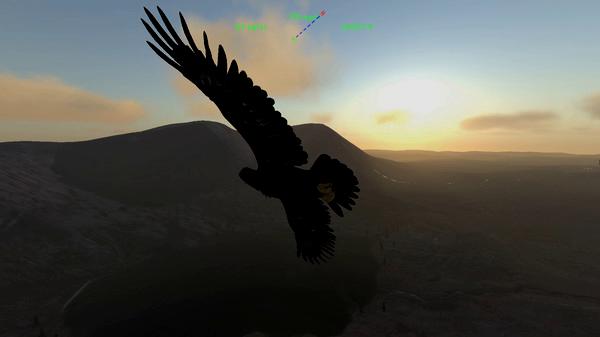 Aquila Bird Flight Simulator - Steam Key (Clé) - Mondial