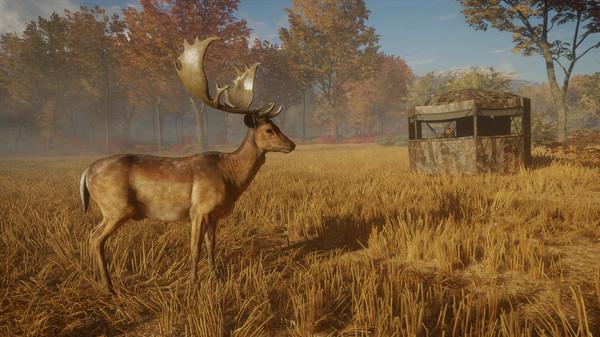 theHunter: Call of the Wild - Tents & Ground Blinds - Steam Key - Globale