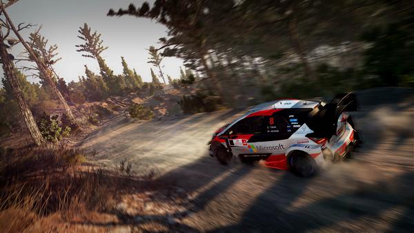 WRC 8 FIA World Rally Championship - Steam Key - Globalny