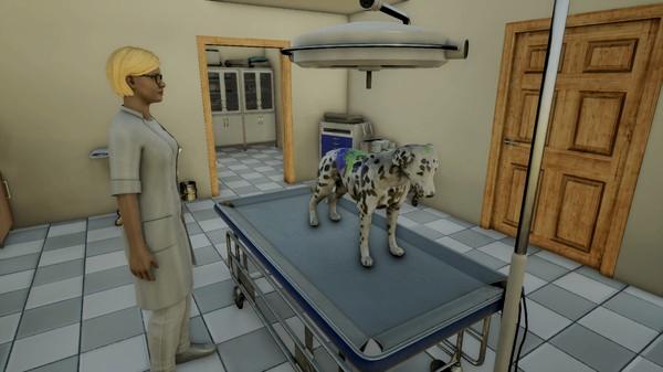 Animal Doctor - Steam Key - Globalny