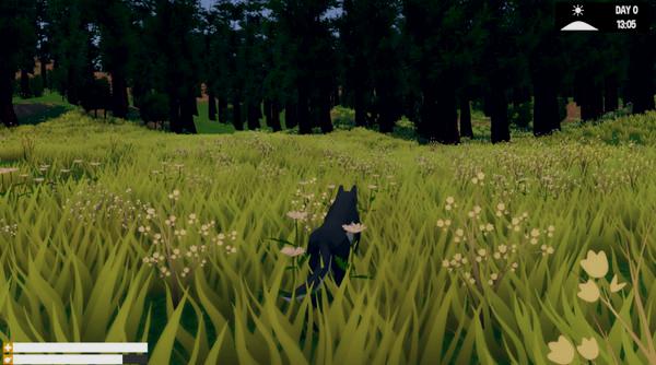 Wild Wolf - Steam Key - Globale