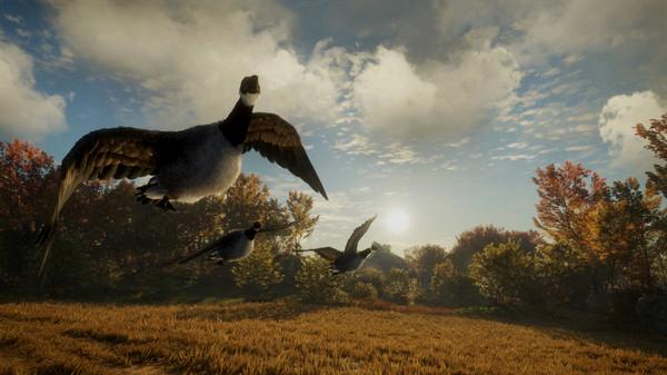 theHunter™: Call of the Wild - Wild Goose Chase Gear - Steam Key - Globale