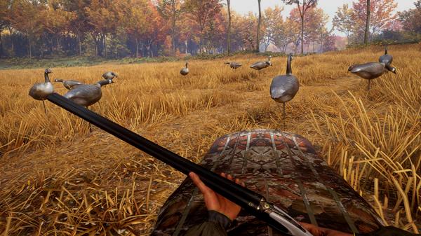 theHunter™: Call of the Wild - Wild Goose Chase Gear - Steam Key - Globale