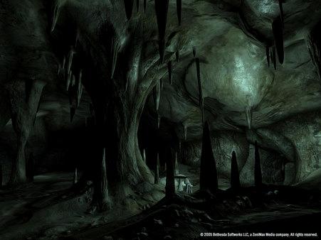 The Elder Scrolls IV: Oblivion (GOTY Edition) (Deluxe Edition) - Steam Key - Globalny
