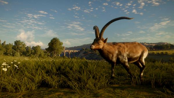 theHunter: Call of the Wild - Cuatro Colinas Game Reserve - Steam Key - Globale