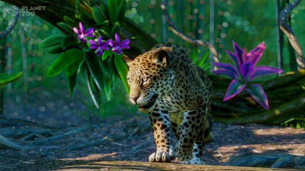 Planet Zoo: South America Pack - Steam Key - Globale