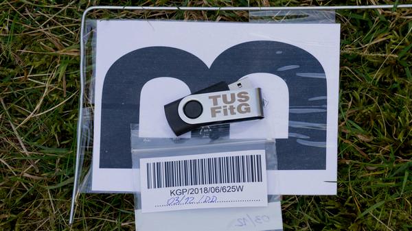 The USB Stick Found in the Grass - Steam Key (Clé) - Mondial