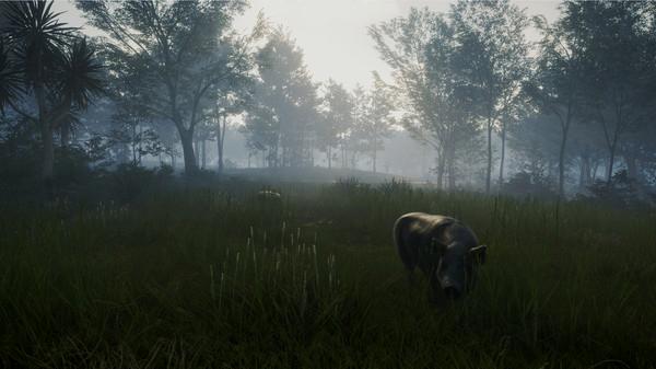 theHunter: Call of the Wild - Te Awaroa National Park - Steam Key - Global