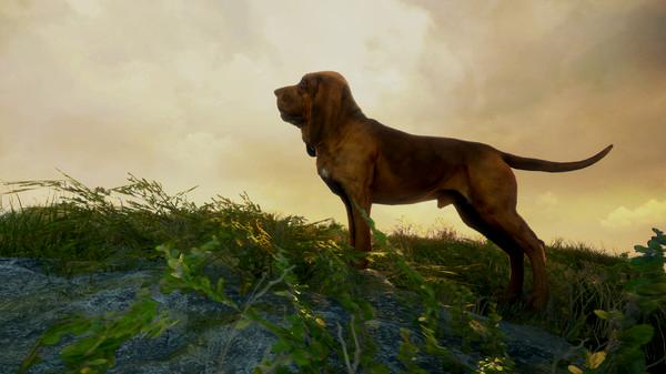 theHunter: Call of the Wild - Bloodhound - Steam Key - Globalny