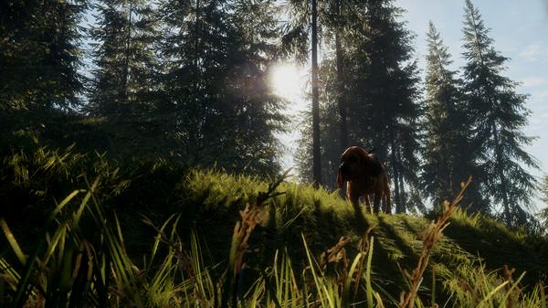 theHunter: Call of the Wild - Bloodhound - Steam Key (Clave) - Mundial