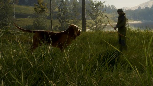 theHunter: Call of the Wild - Bloodhound - Steam Key - Globale