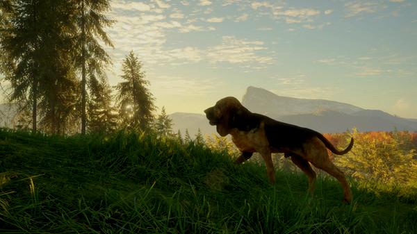 theHunter: Call of the Wild - Bloodhound - Steam Key - Globale