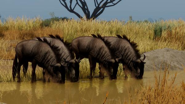 Planet Zoo: Grasslands Animal Pack - Steam Key (Clé) - Mondial