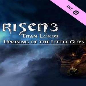 Risen 3: Titan Lords - Uprising of the Little Guys - Steam Key - Global