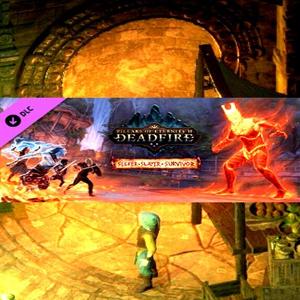 Pillars of Eternity II: Deadfire - Seeker, Slayer, Survivor - Steam Key - Global