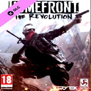 Homefront: The Revolution - The Wing Skull Pack - Steam Key - Global