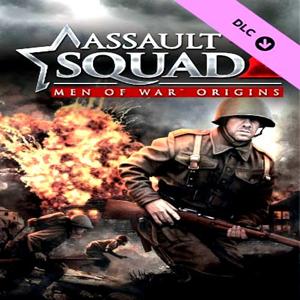 Assault Squad 2: Men of War Origins - Steam Key - Global