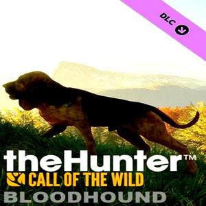 theHunter: Call of the Wild - Bloodhound - Steam Key - Global