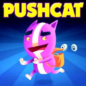 Pushcat - Steam Key - Global