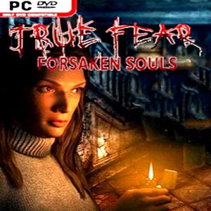 True Fear: Forsaken Souls - Steam Key - Global