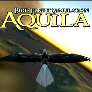 Aquila Bird Flight Simulator - Steam Key - Global