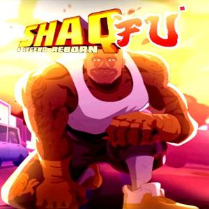 Shaq Fu: A Legend Reborn - Steam Key - Global