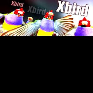 Xbird - Steam Key - Global