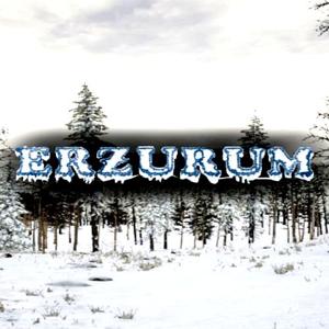 Erzurum - Steam Key - Global