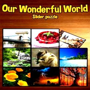 Our Wonderful World - Steam Key - Global