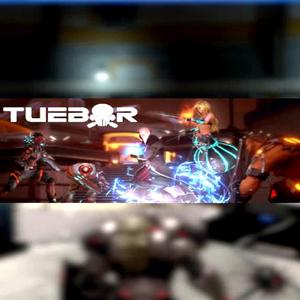 Tuebor: I Will Defend - Steam Key - Global