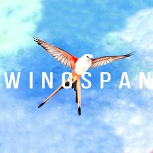 Wingspan - Steam Key - Global