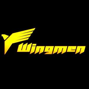 WingMen - Steam Key - Global