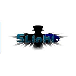 Slinki - Steam Key - Global