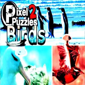 Pixel Puzzles 2: Birds - Steam Key - Global