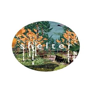 Shelter - Steam Key - Global