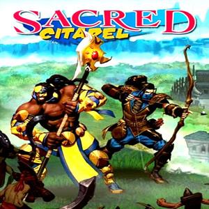 Sacred Citadel - Steam Key - Global