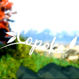 Copoka - Steam Key - Global